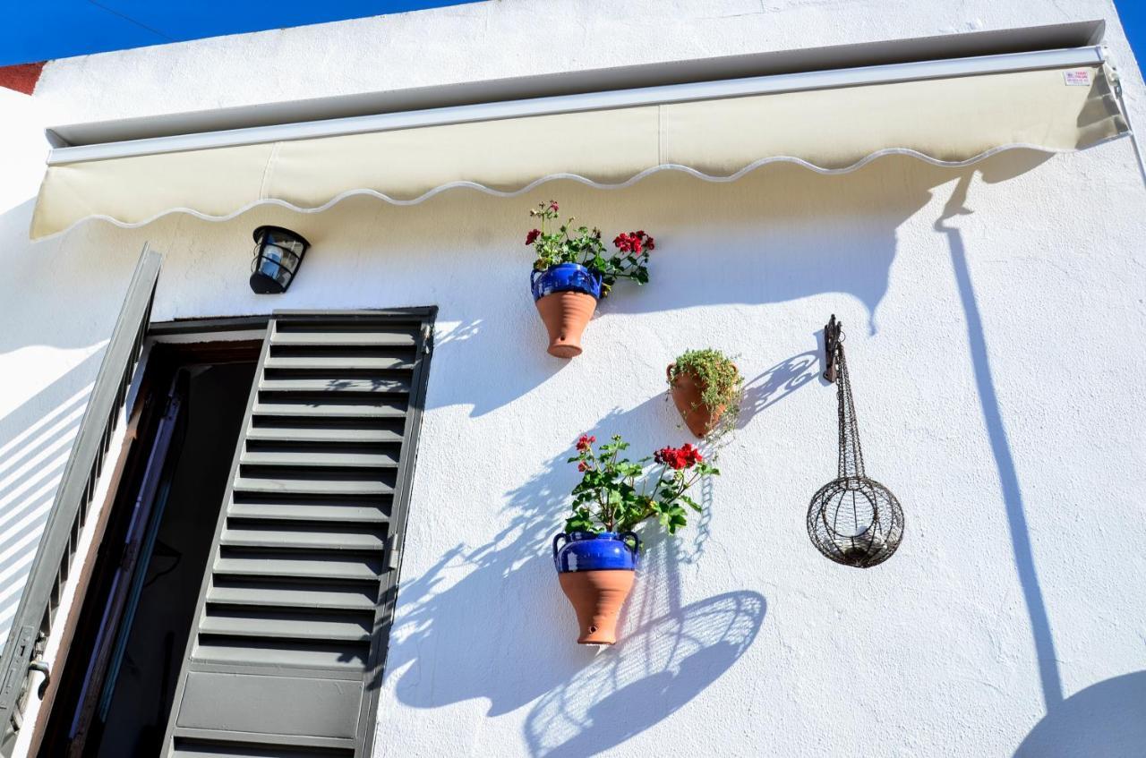 Alohamundi Campana Apartamento Sevilha Exterior foto